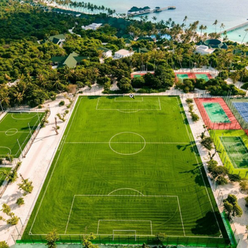 Artificial Grass Maldivas