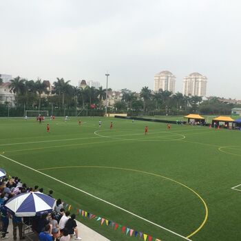 Football Artificial Grass 