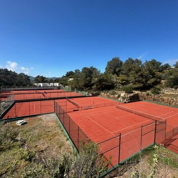 Tenis
