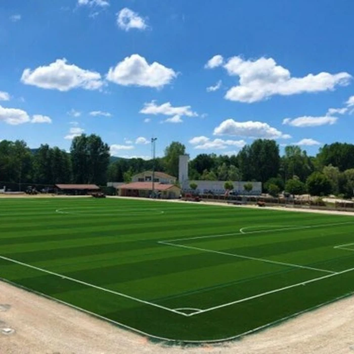 Stade guy de la verpilliere reference