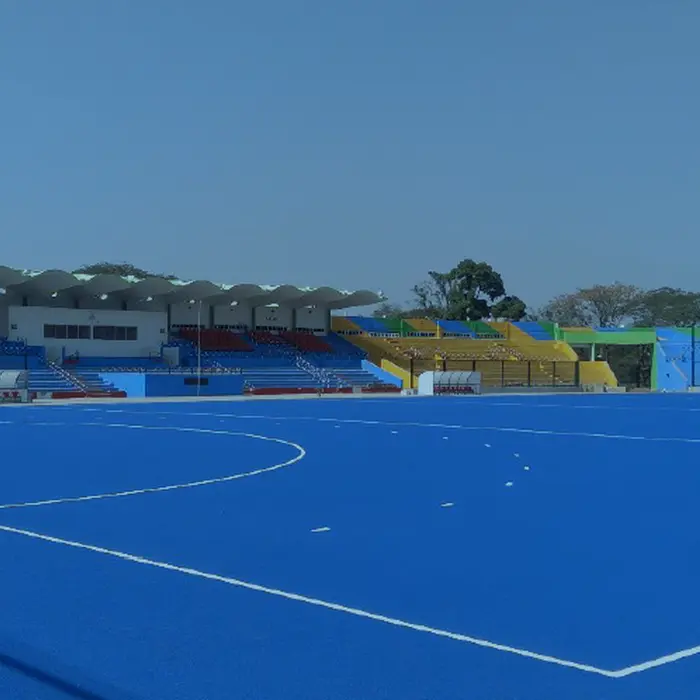 Hockey Artificial grass India