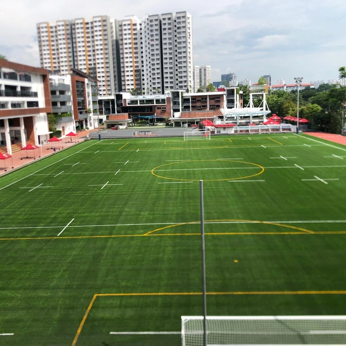 Artificial Grass Singapore