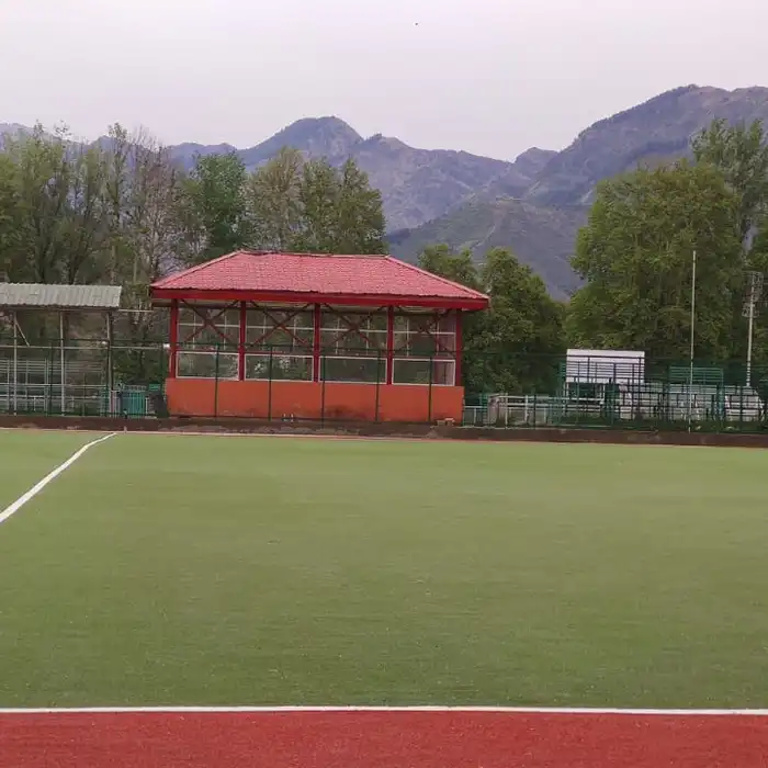 Polo Artificial Grass India