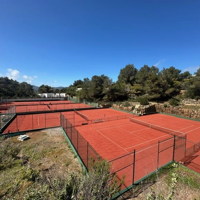 Tenis