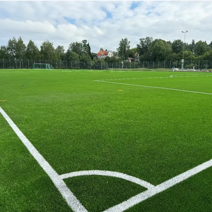 Football Artificial Grass 