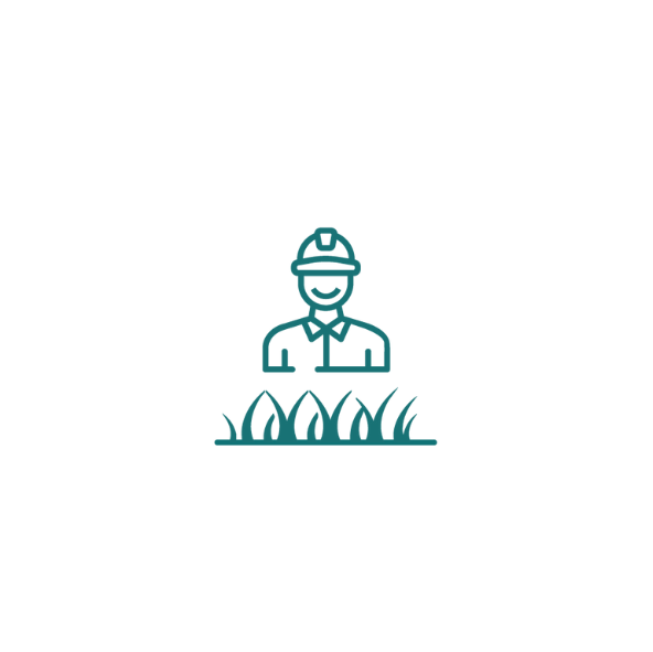 Football Artificial Grass 