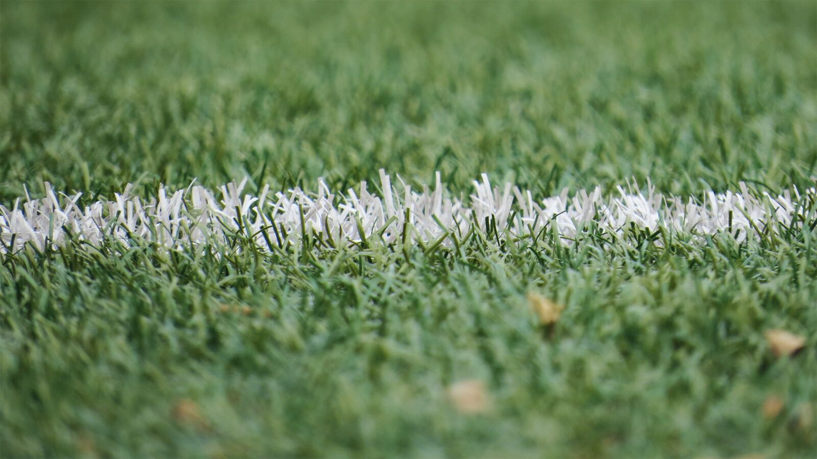 Football Artificial Grass 