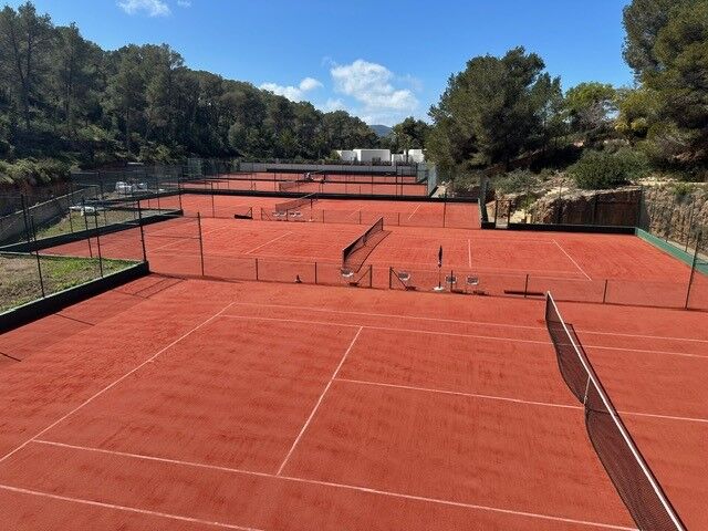 Tenis