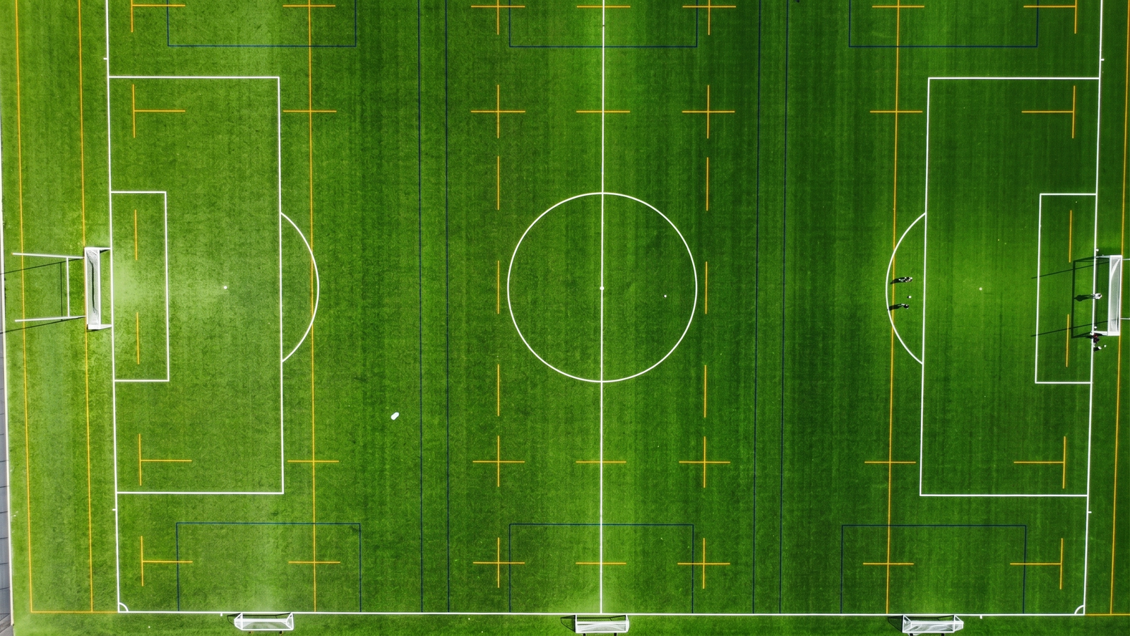 One surface for multiple sports