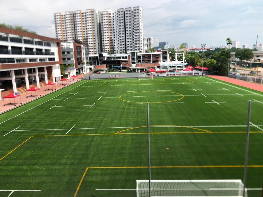 Artificial Grass Singapore